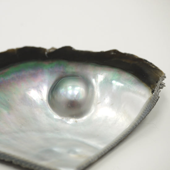 belyness bijoux @belyness.world bellyness belynes bely ness nes belly bellynes beliness bellines belines vie bijou unisexe acier inoxydable tendance femme homme enfants personnalisable artisanaux fait main perle de culture d’eau douce upcycling écologique