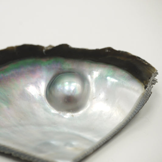 belyness bijoux @belyness.world bellyness belynes bely ness nes belly bellynes beliness bellines belines vie bijou unisexe acier inoxydable tendance femme homme enfants personnalisable artisanaux fait main perle de culture d’eau douce upcycling écologique