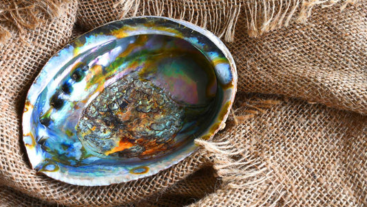belyness bijoux @belyness.world bellyness belynes bely ness nes belly bellynes beliness bellines belines vie bijou unisexe acier inoxydable tendance femme homme enfants personnalisable artisanaux fait main perle de culture d’eau douce upcycling écologique
