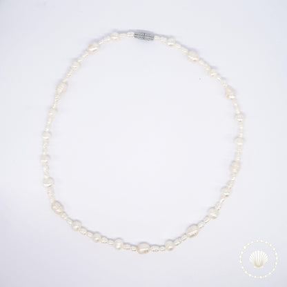 Le collier Diatoma Bijoux acier inoxydable tendance femme artisanaux fait main perle de culture collier mode éco-responsable perles d’eau douce boucle d'oreilles perle de nacre bracelet en pierres fines bague en pierres naturelles création upcycling recyclés écologique éthique bracelet durable bague minimaliste bohème chic authentique océan mer aventure bijoux surf été skate bellyness belynes bely ness ness bely bellynes beliness bellines belines