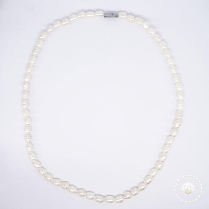Le collier Rhizo belyness bijoux tendance femme artisanaux fait main perle de culture collier éco-responsable acier inoxydable perles d’eau douce naturelles boucle d'oreilles perle de nacre bracelet en pierres fines bague en pierres naturelles bagues faits main bracelet durable éthique inspiré de l’océan mode minimaliste